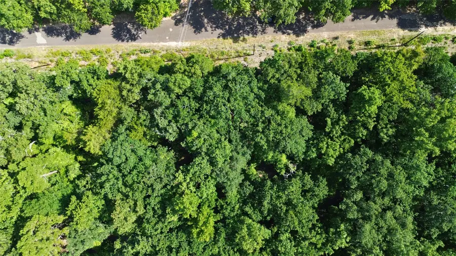 239 Briar Valley Dr, Murchison, TX 75778 - Image #2