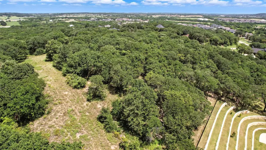 541 Bonnards Peak Road, Burleson, TX 76028 - Image #3