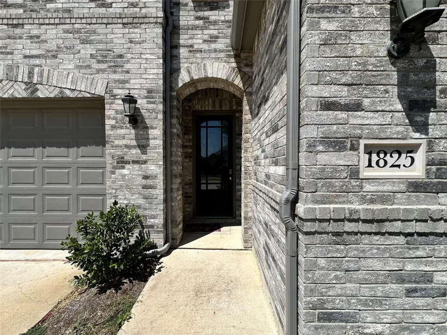 1825 Spoonbill Drive, Little Elm, TX 75068 - Image #3