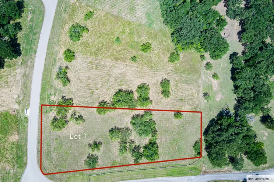 Lot 1 Admiral Shores Drive, Streetman, TX 75859 - Image #3