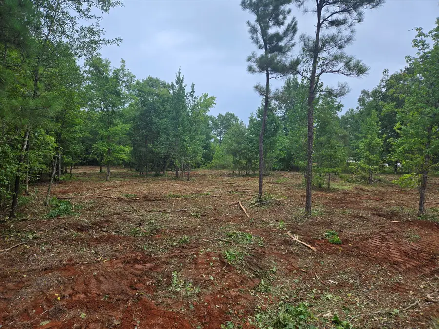 01 Martin Road, Plain Dealing, LA 71064 - Image #2