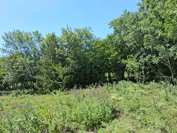 209 Texas Drive, Palmer, TX 75152