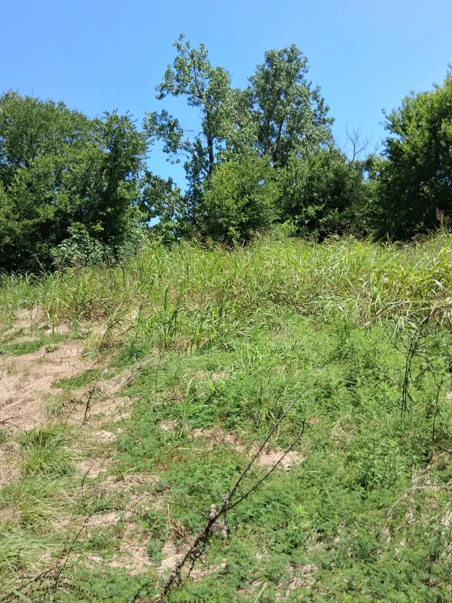 209 Texas Drive, Palmer, TX 75152 - Image #2