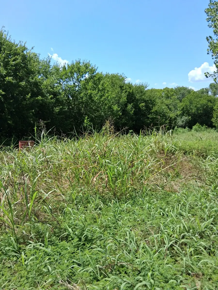 209 Texas Drive, Palmer, TX 75152 - Image #3