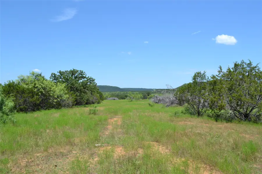 174 Old Owl Court, Ranger, TX 76470 - Image #3