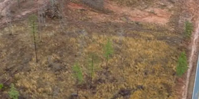 150 Fire Tower Road, Plain Dealing, LA 71064 - Image #2