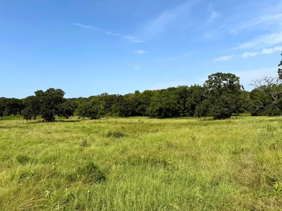 3634 County Road 401b, Alvarado, TX 76009 - Image #3