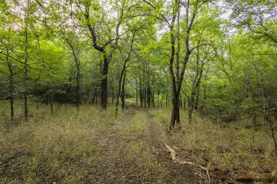 30 acres Refuge Road, Sherman, TX 75092 - Image #3
