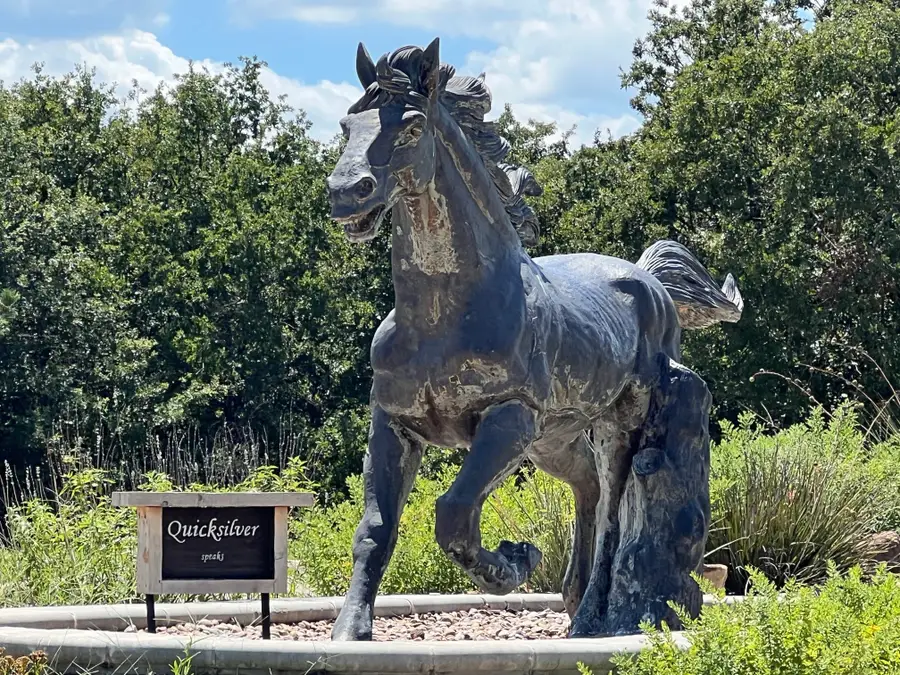 107 Mustang Springs Circle, Sunset, TX 76270 - Image #3