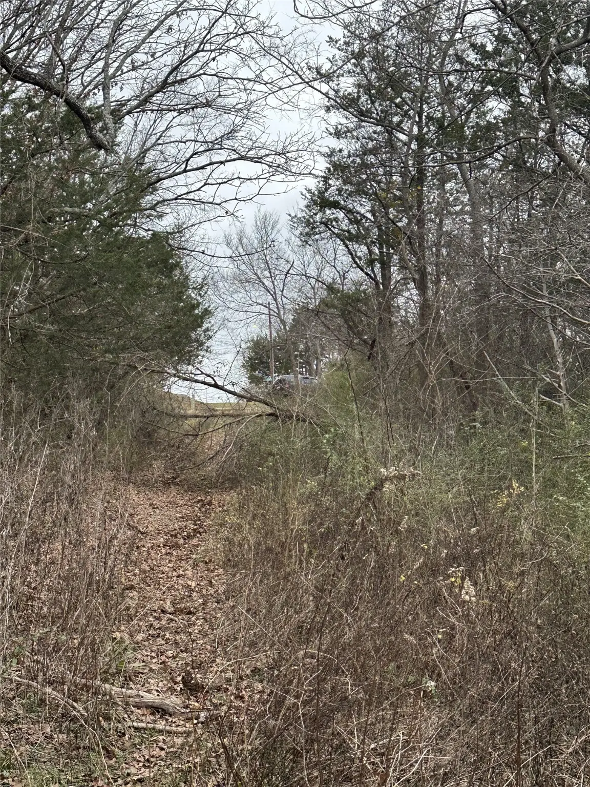 633 E Munson Street, Denison, TX 75021 - Image #1