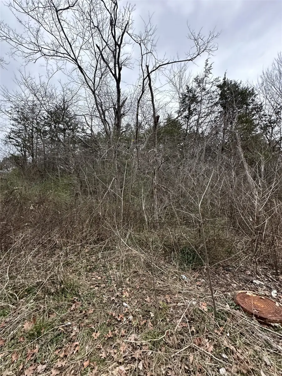 633 E Munson Street, Denison, TX 75021 - Image #3