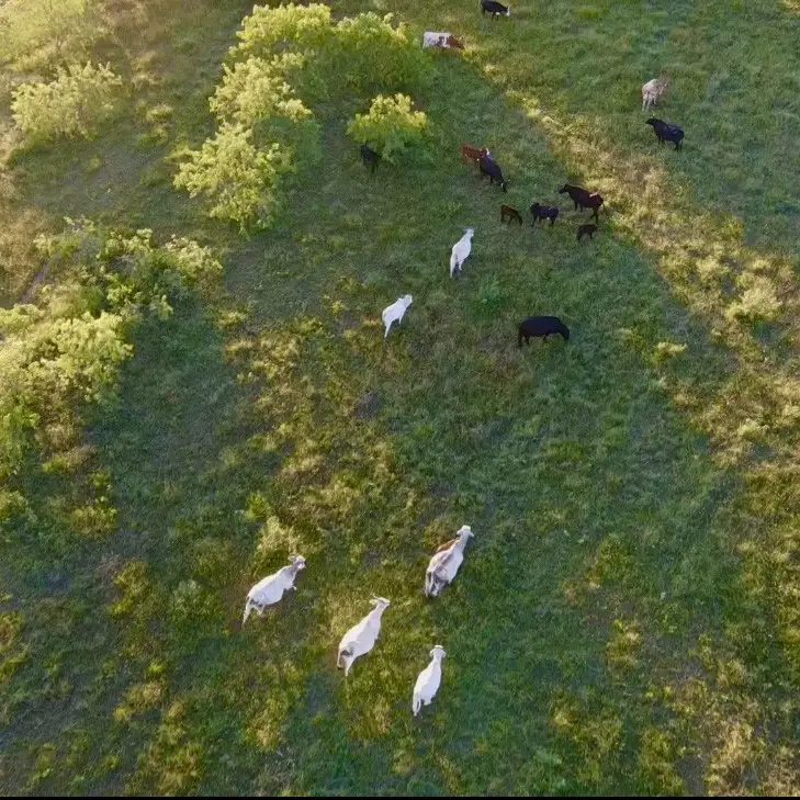 TBD Sw 2250 Road, Dawson, TX 76639 - Image #3