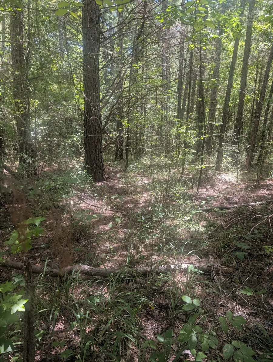 0 Yates Street, Hawkins, TX 75765 - Image #2