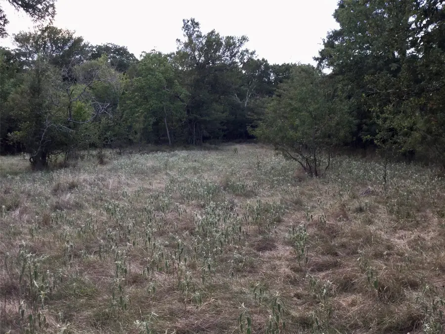 126 Oakmont Drive, Mabank, TX 75147 - Image #2