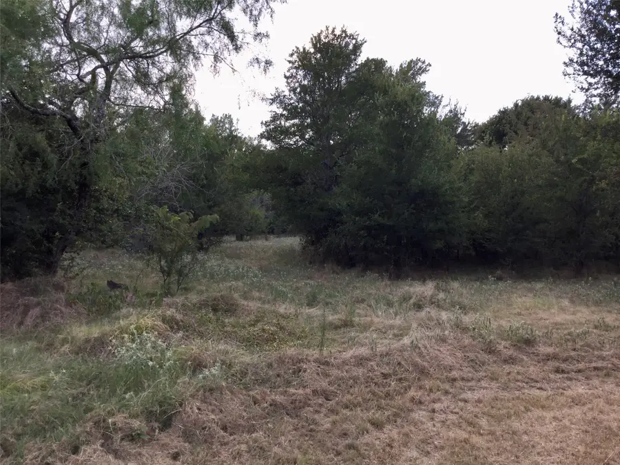 126 Oakmont Drive, Mabank, TX 75147 - Image #3