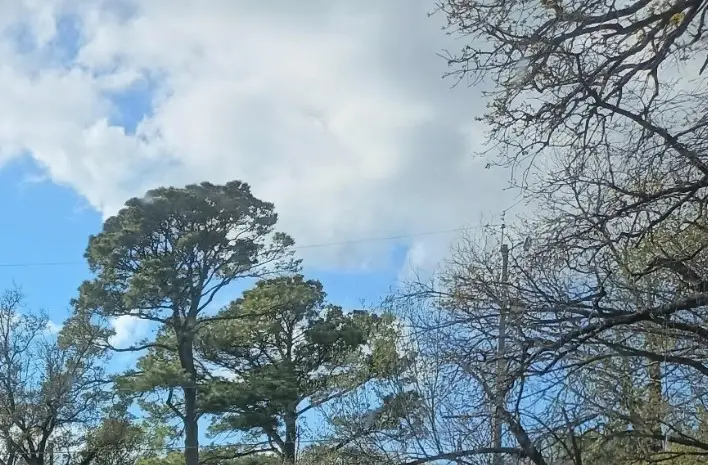 0000 E Shore, Lewisville, TX 75057 - #1