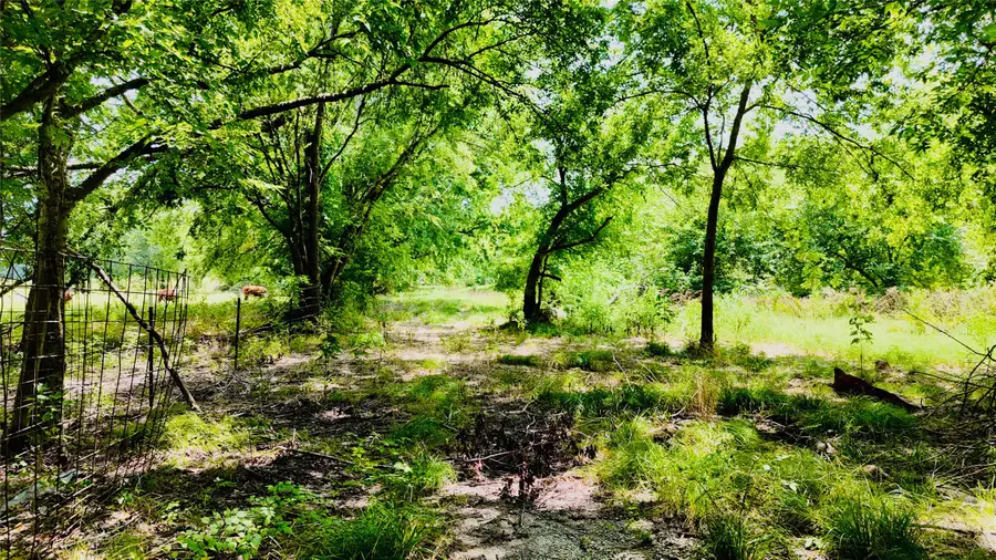 TBD Fm 71, Sulphur Springs, TX 75482 - Image #2