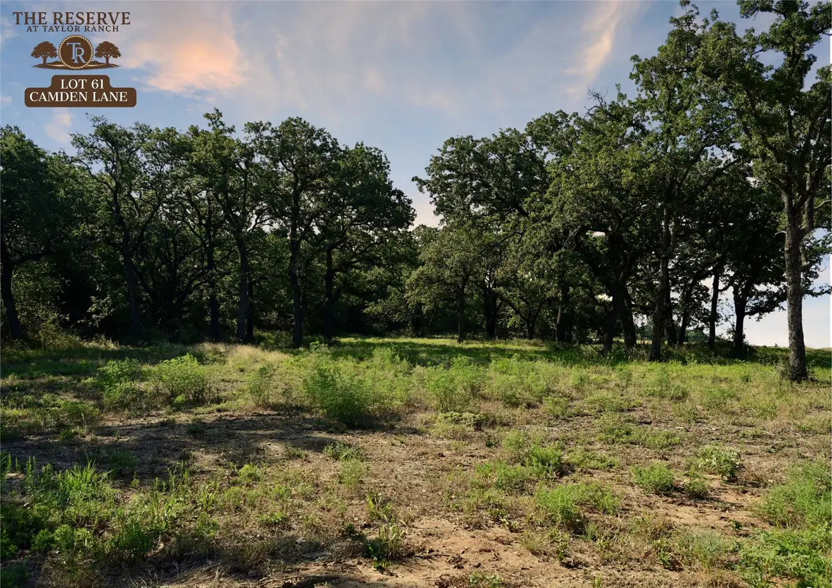 Lot 61 Camden Lane, Springtown, TX 76082 - Image #1