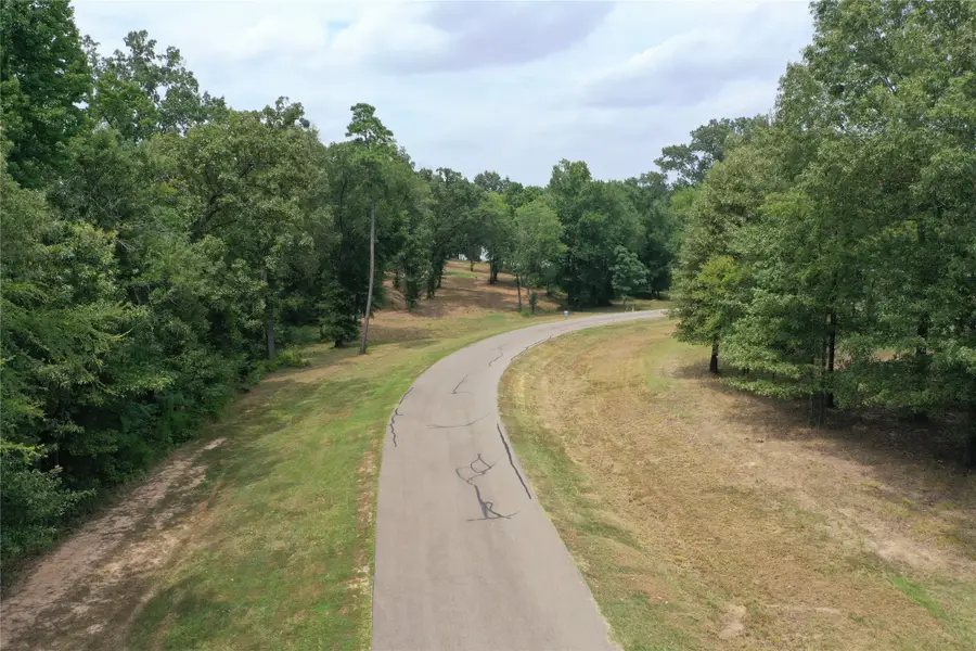 101 Sterling Shores Drive, Scroggins, TX 75480 - Image #2