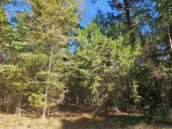 152 Timber Bluff Road, Bullard, TX 75757