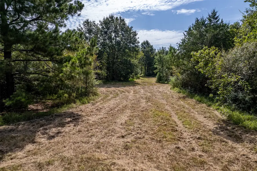 TBD County Road 2115, Troup, TX 75789 - Image #3