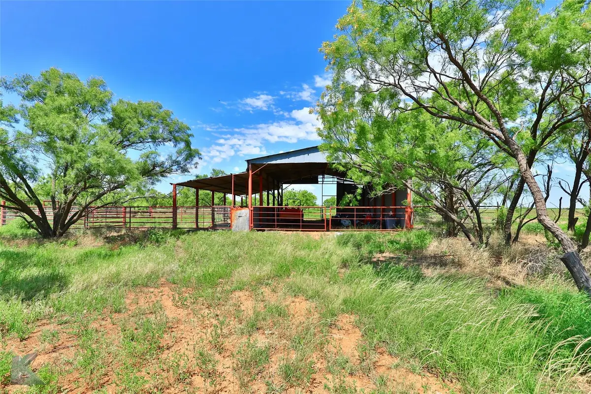 8445 County Road 226, Avoca, TX 79503 - Image #1