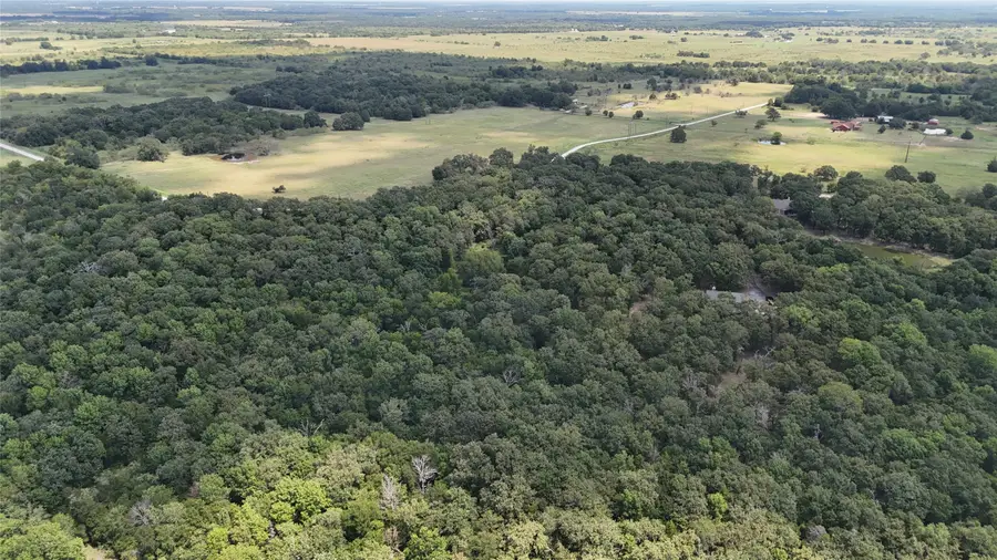 Tract 2 SE County Road 3230, Kerens, TX 75144 - Image #3