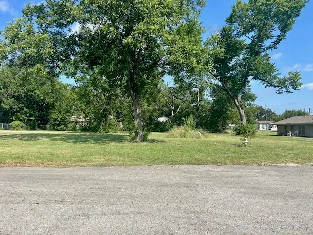 TBD N Leon, Groesbeck, TX 76642 - Image #3