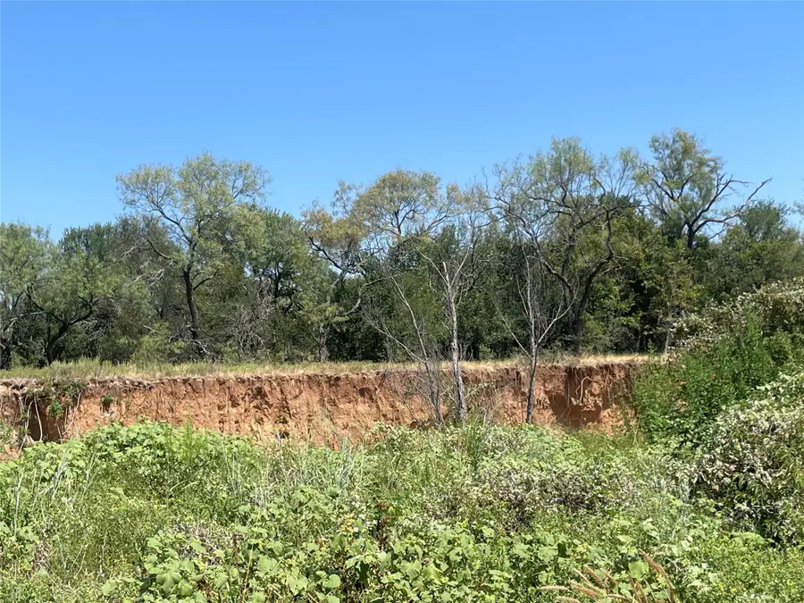 2102 Willow Point Road, Jacksboro, TX 76458 - Image #3