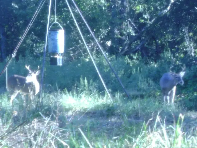 TBD Cr 3543, Saltillo, TX 75478 - Image #3