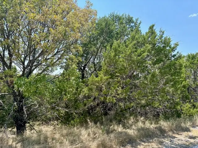 Lot 246 Broadmoor Court, Possum Kingdom Lake, TX 76449 - Image #3