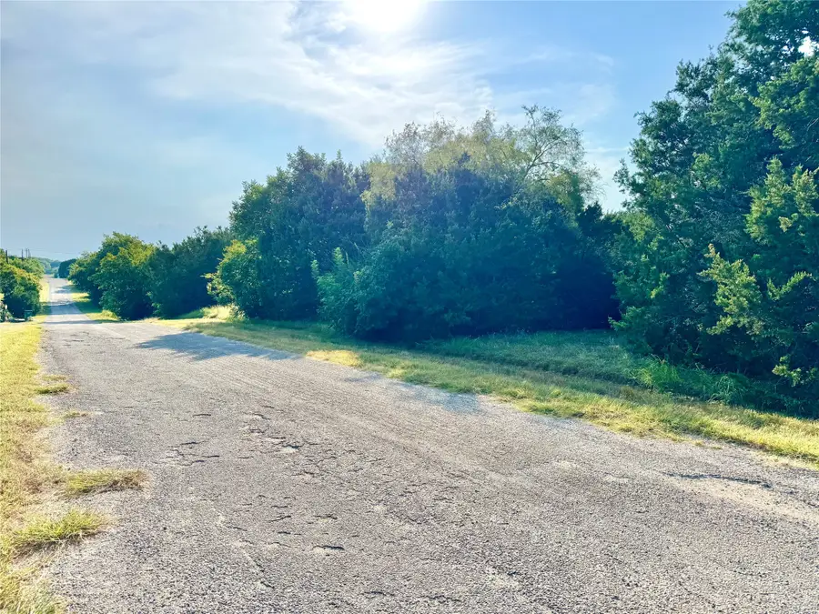 45001 Fringewood Drive, Whitney, TX 76692 - Image #2