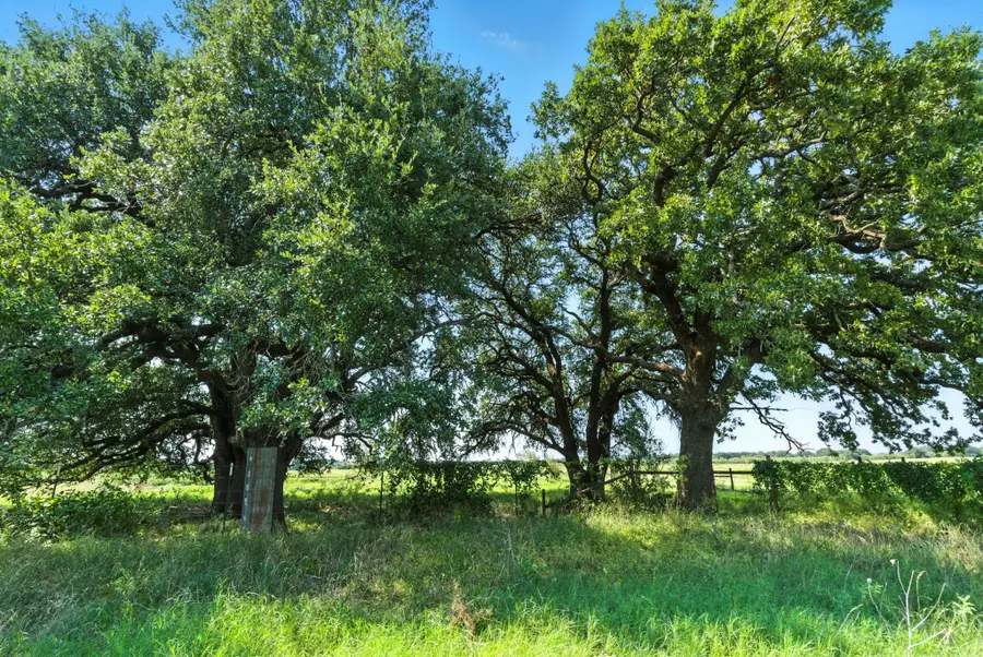 25750 S Fm 4, Lipan, TX 76462 - Image #2
