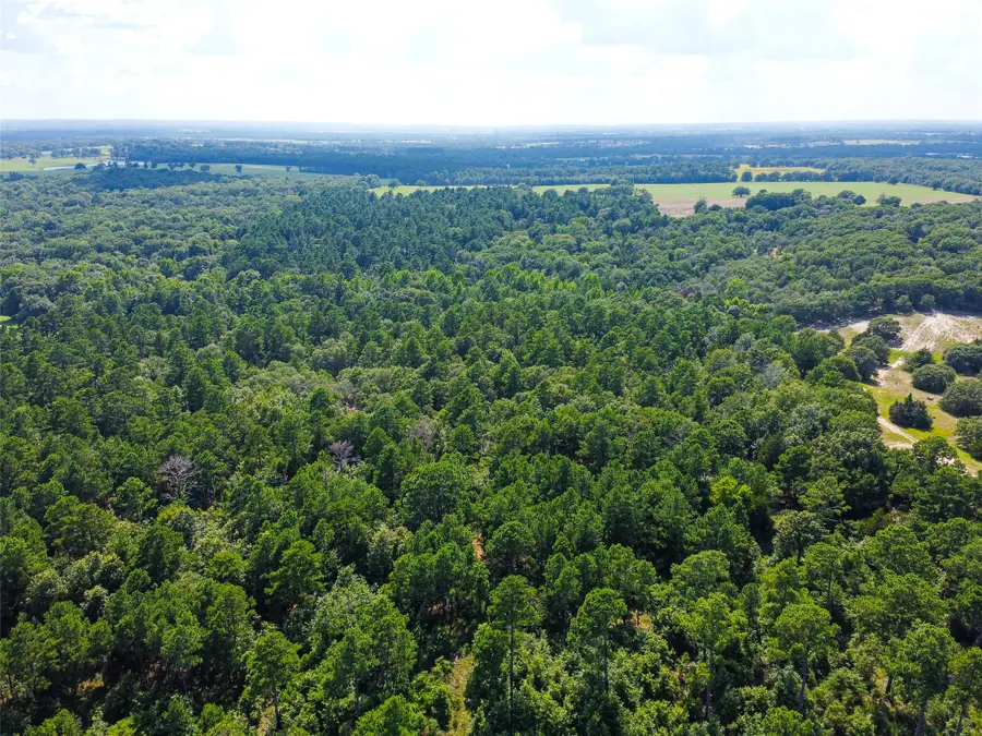 TBD Vz Cr 4702, Ben Wheeler, TX 75754 - Image #2