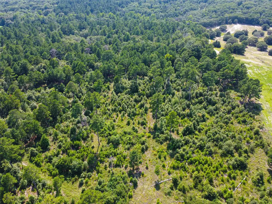 TBD Vz Cr 4702, Ben Wheeler, TX 75754 - Image #3