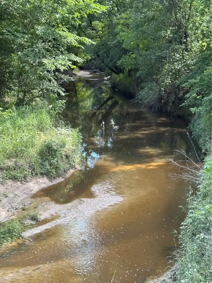 5100 Fm 2909, Canton, TX 75103 - Image #2