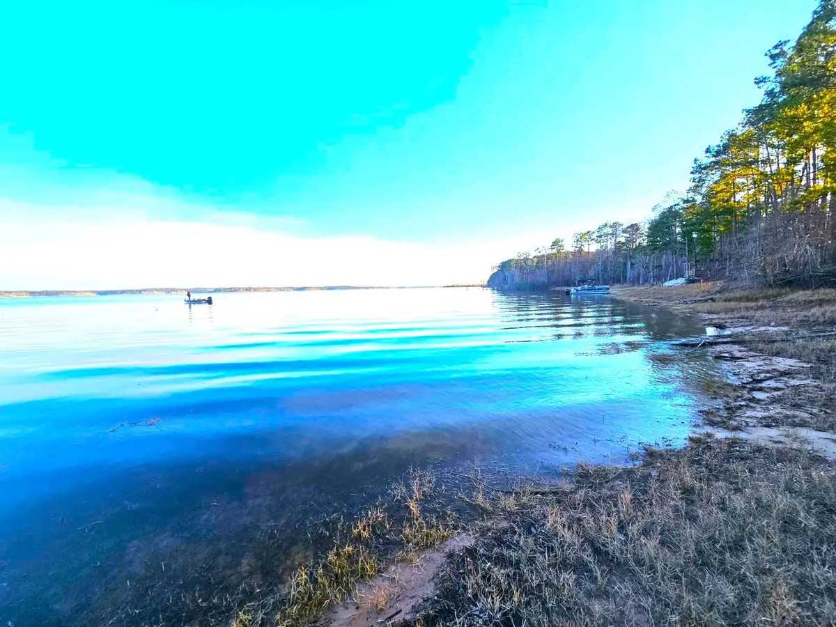 7807 County Road 447, Bronson, TX 75930 - Image #1