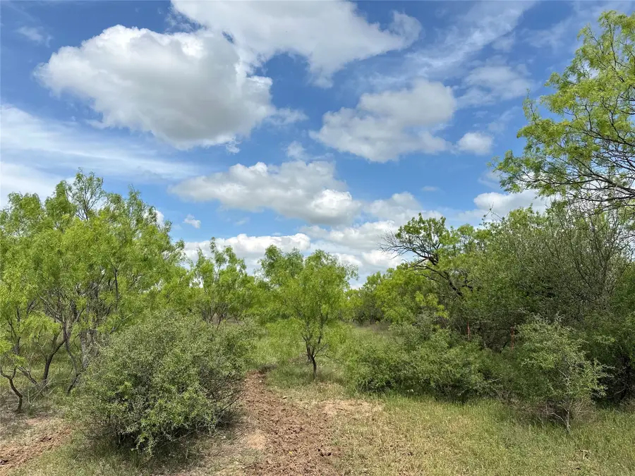 TBD County Road 100, Abilene, TX 79601 - Image #3
