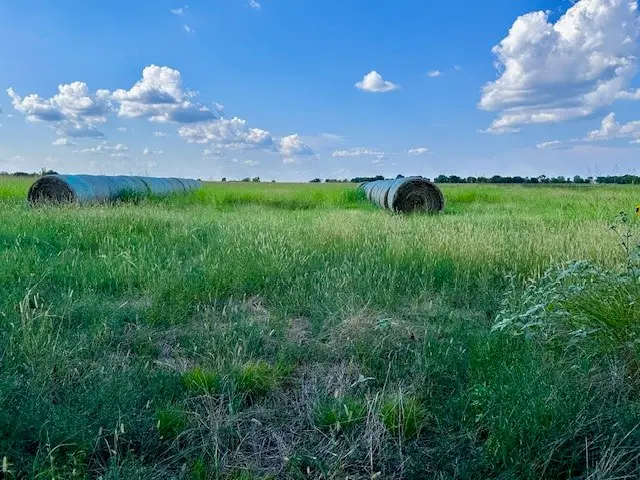 TBD 19.933AC Tx-11, Bailey, TX 75413 - Image #3