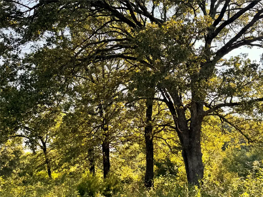 TBD Fm 513, East Tawakoni, TX 75472 - Image #2