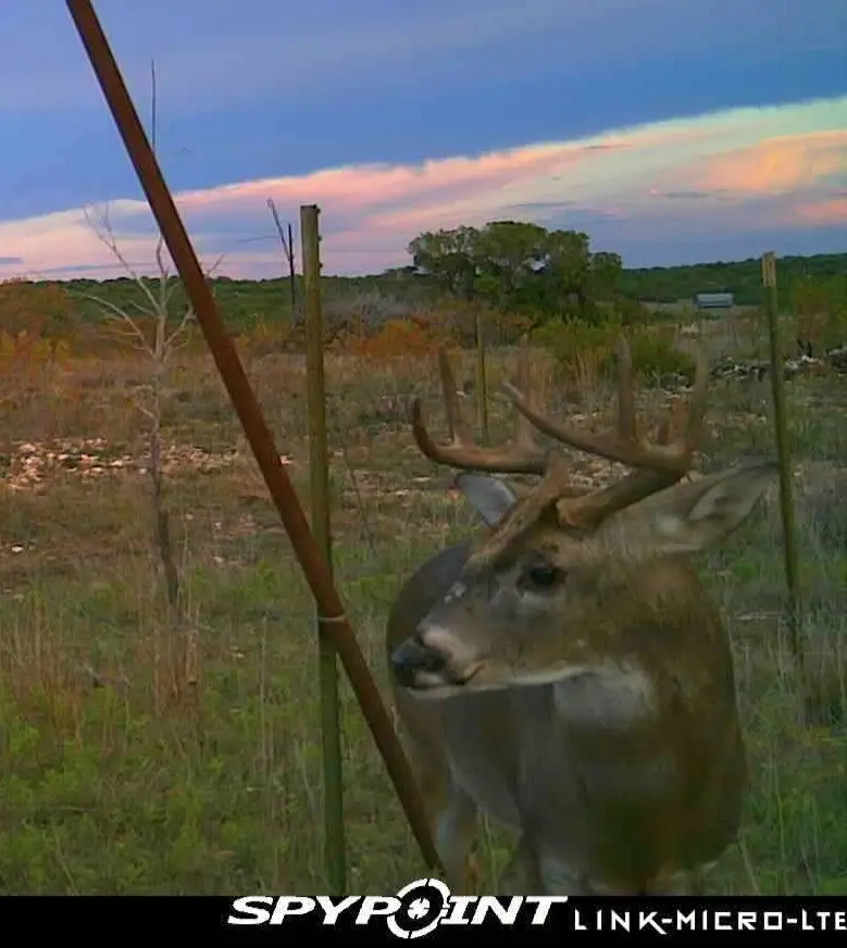 3402 County Road 196, Blackwell, TX 79506 - Image #1