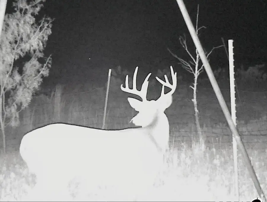 3402 County Road 196, Blackwell, TX 79506 - Image #2