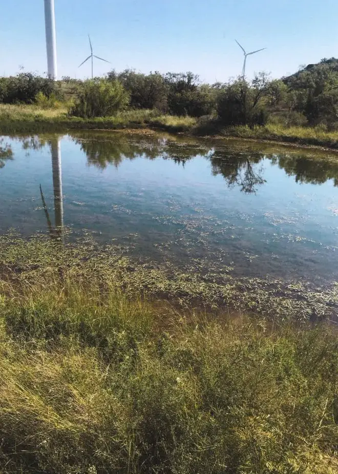 TBD Cr 445, Roby, TX 79543 - Image #2