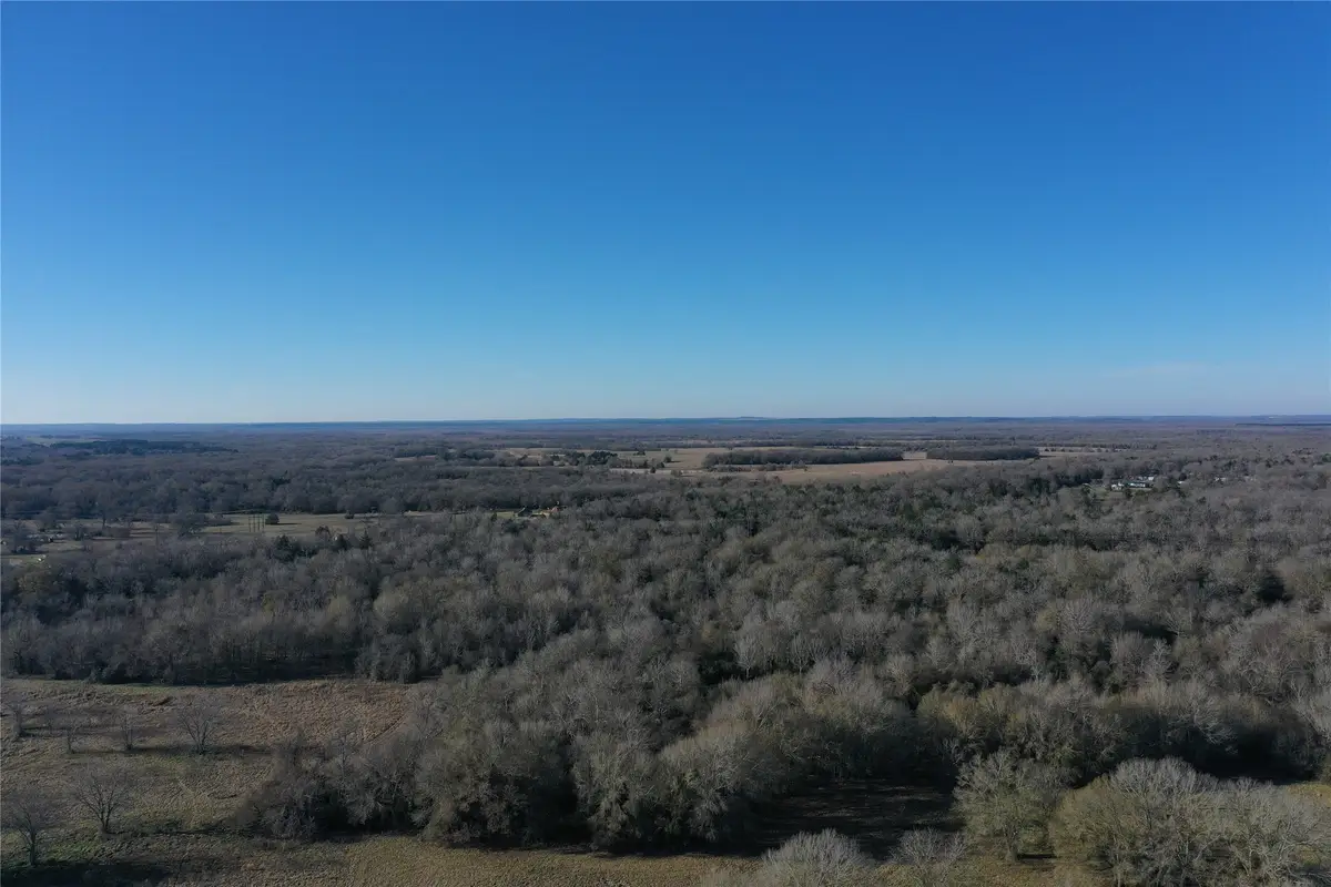 Tract 2 Fm 321, Tennessee Colony, TX 75861 - Image #1