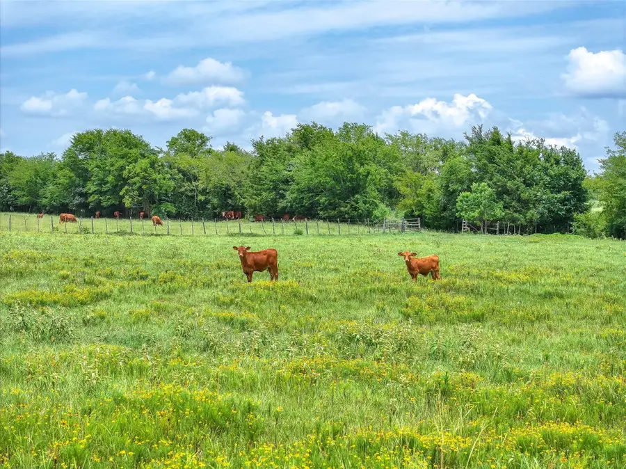 Tract 1 Fm 855, Jacksonville, TX 75766 - Image #3