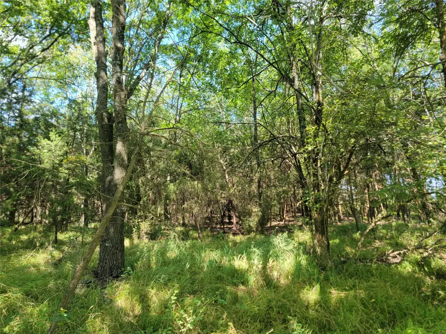 3442 Cr 15100, Blossom, TX 75416 - Image #2