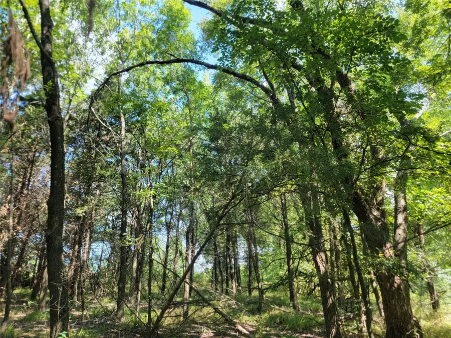 3442 Cr 15100, Blossom, TX 75416 - Image #3