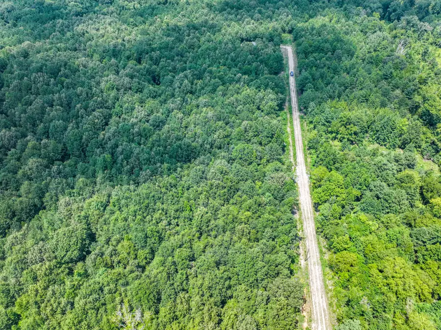 175 3900 Road, Bettie, TX 75686 - Image #2