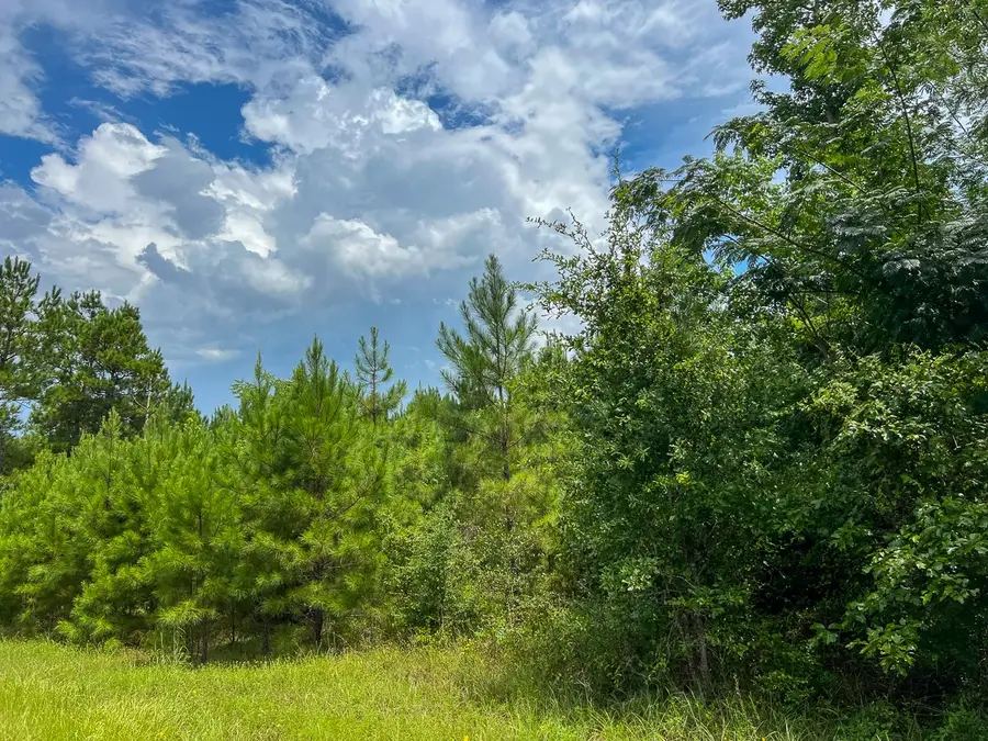 0 Fm 2939, Newton, TX 75966 - Image #3