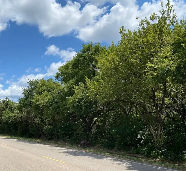 TBD Fm Rd 920, Poolville, TX 76487 - Image #2